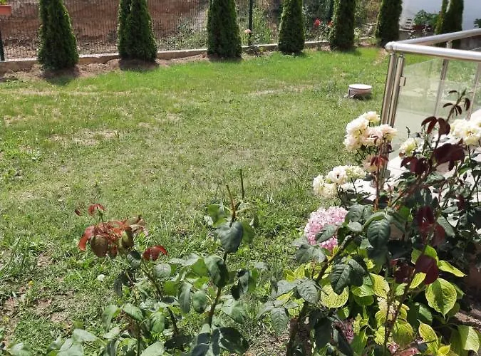 прекрасный с видом на море и бассейном Appartement *